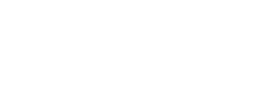 Logo Trinks###